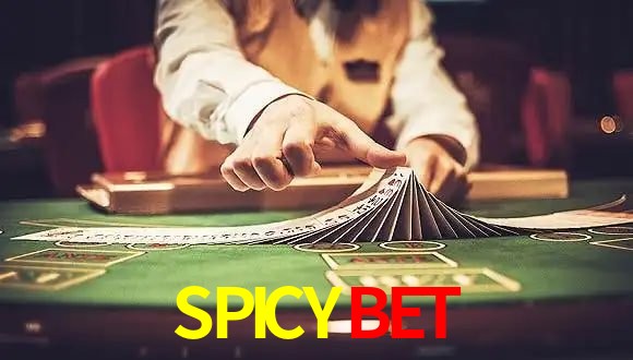Game Providers SPICYBET